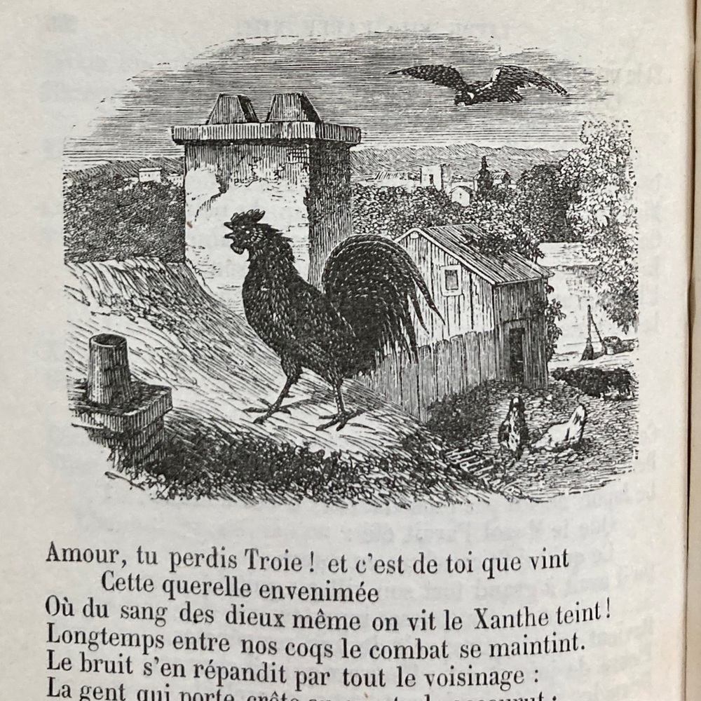 1870 Fables de J. de la Fontaine French Engravings Fiction Fox Rooster Horse - Picture 3 of 16